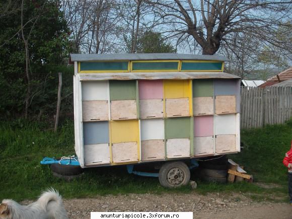 cumpar remorca apicola stupi remorca pavilion stupi rame 1/1 cat 1/2 sau 3/4.se vinde fara care sunt