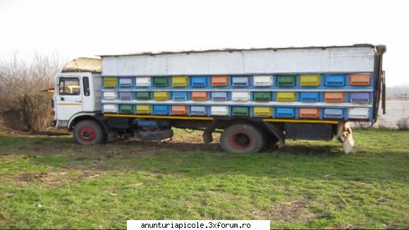 vand camion omologat apicol marca 78 familii orizontal 18 capacitate 4 litri,se vinde cu lazi dar