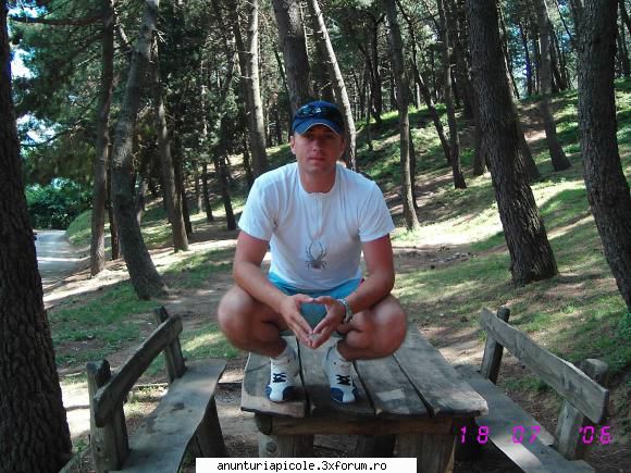 sunt interesat de a cateva familii de albine sanatoase si cu ramele din curtea de arges
tel cumpar