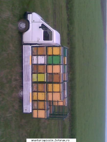 vanzari vand renault master pentru transport stupi capacitate transport famili demontare stelajului