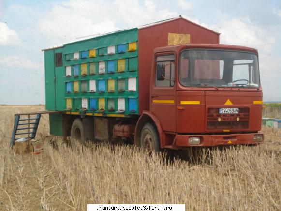 vandut vand pavilion pe camion