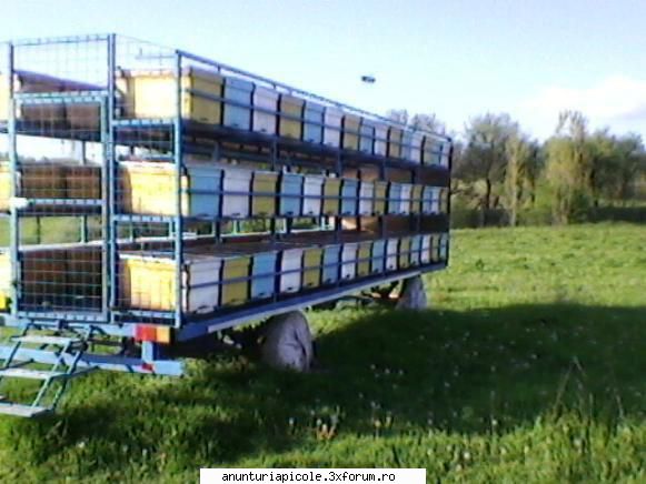 inca o poza! :hi: vand pavilion!