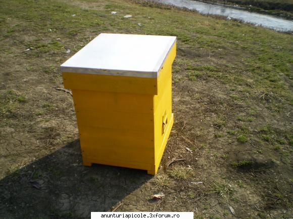 vand lazi stup noi sinca una