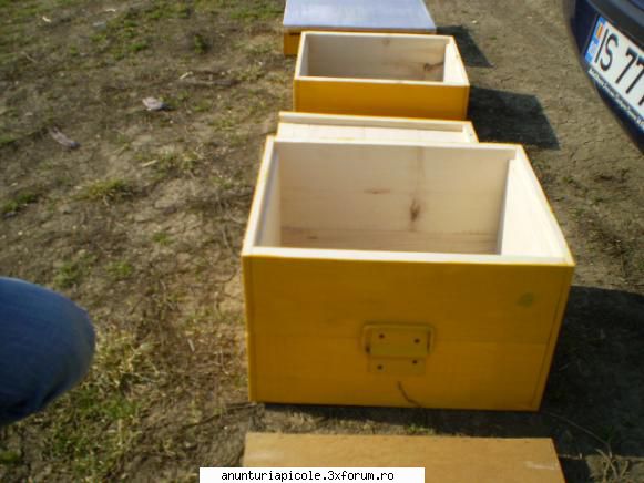 inca una vand 2 lazi stup noi