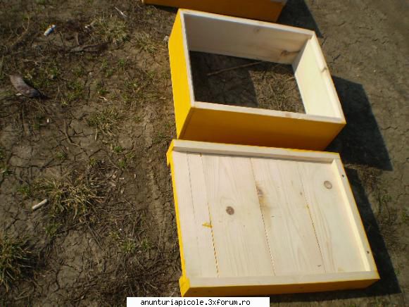 vand lazi stup noi nhvyj yvb