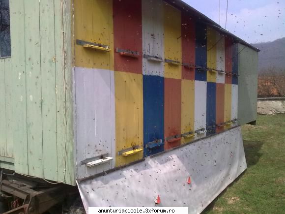 pavilion apicol succes d-le s-a vandutrog stearga anuntulo buna !salutari deva