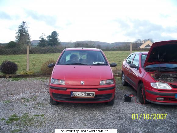 megane rosu si punto rosu  :nebun: schimb diverse auto cu familii de albine !