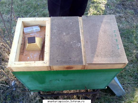 vand roiuri din selectie regine rasa carpatica, evghenyp scris:si cea dea doua linie? este sigura