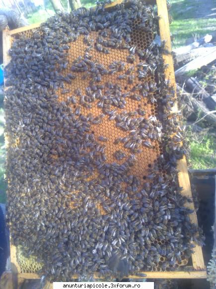 daca esti aproape de mine pot s ati dau una din schimbare linistita , dar nu s a inca , ajutati un