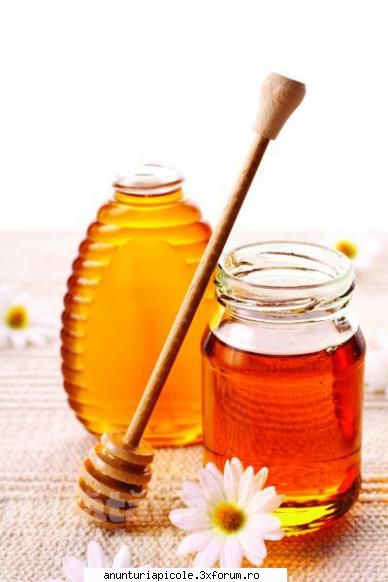 o familie de albine jud argeș cu cutie verticala ofer 400 ron discutabil tel 0762604459 cumpar