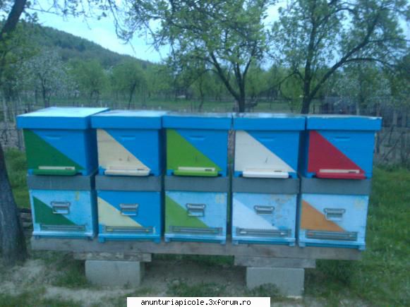 cumpar stupi domnu alin cutiile dv-stra gata export, pagina asta&nbsp; ve-ti incepe fiti dea-l