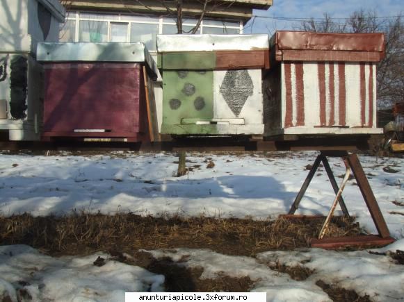 manere, podisoare sita pe fund  1 cat de juma si unu de intreg primi 6 stupi sh 45 lei