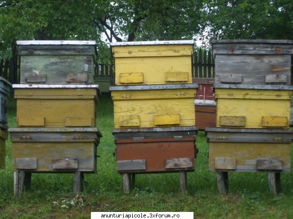 cutii s-h vinde cutii stup orizontale pat rece, rame&nbsp; pret lei usor negociabil !!!&nbsp; are