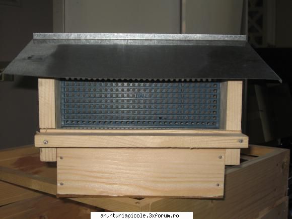 oferta lunii iunie viitor sanatos grup pentru cei interesati polen tip salaj (oros), soclu (fund