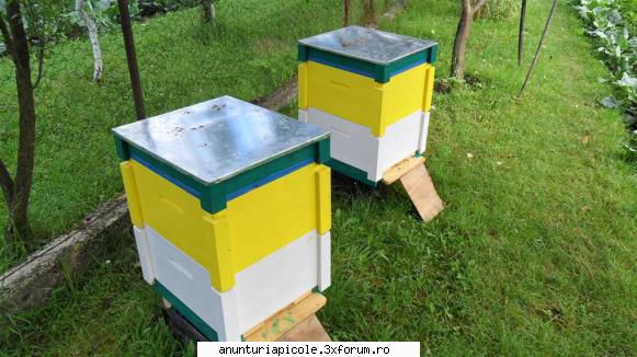 lazi stupi cam asa arata lazile mele ost64 dupa le-am vopsit