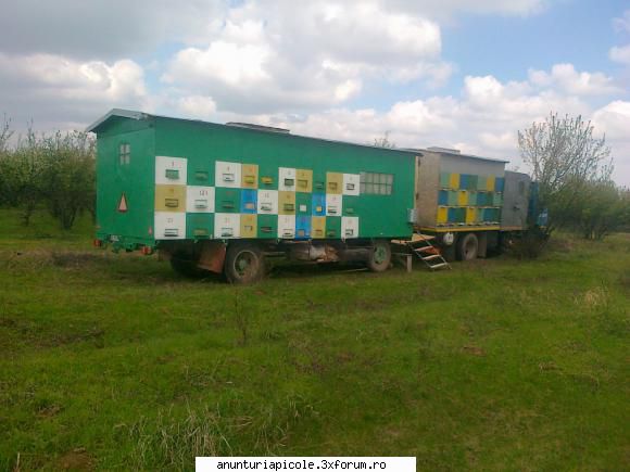 s-a vandut 60 familii (colonii). dispune de camera de foarte spatioasa, cu pat rabatabil