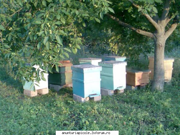 prima schimb stupi verticali 10 rame populati si etaj 3/4 cu stupi orizontal