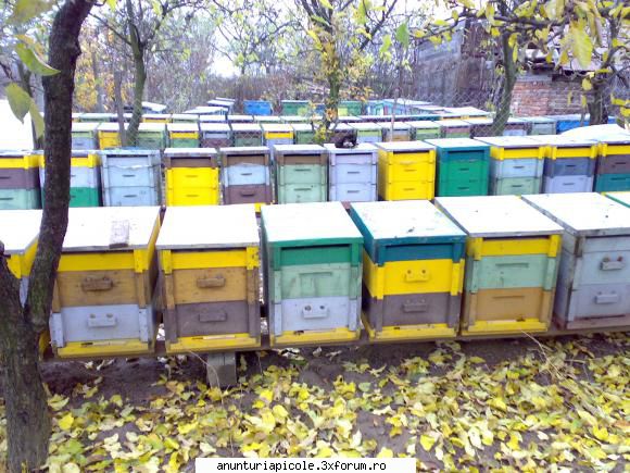 lazi stupi pt. ceva nou, iata stupi mai vechi, construiti mult inainte inceapa produca lorant astfel