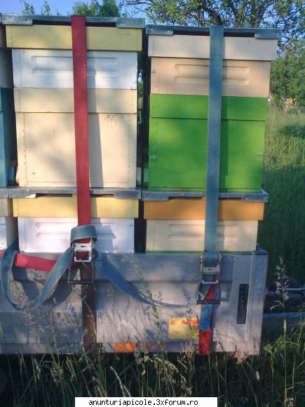 vind sau schimb nissan terrano 2,an electrice si remorca marca brenderup 2 tone pe 2 axe cu lungimea