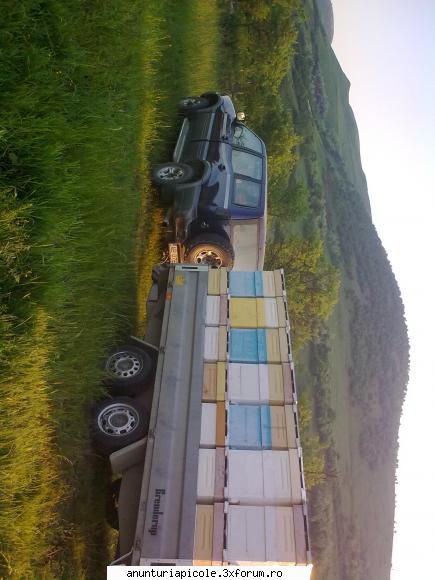 alta poza vand sau schimb cu fam albine nissan terrano2, 4x4 si remorca 2 t