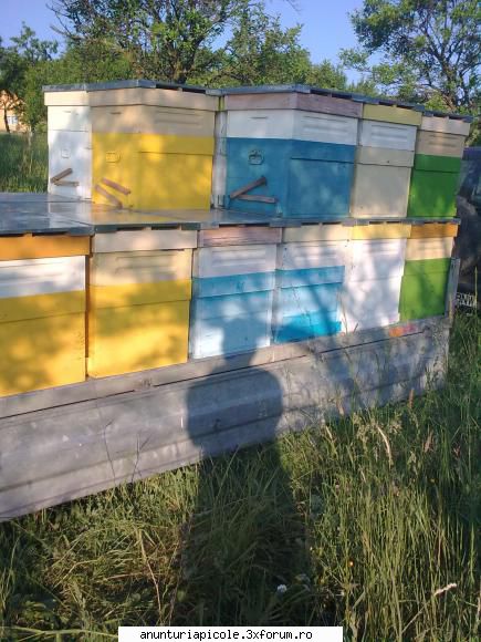 alta poza vand sau schimb cu fam albine nissan terrano2, 4x4 si remorca 2 t