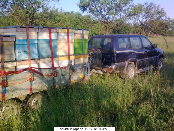 alta poza vand sau schimb cu fam albine nissan terrano2, 4x4 si remorca 2 t