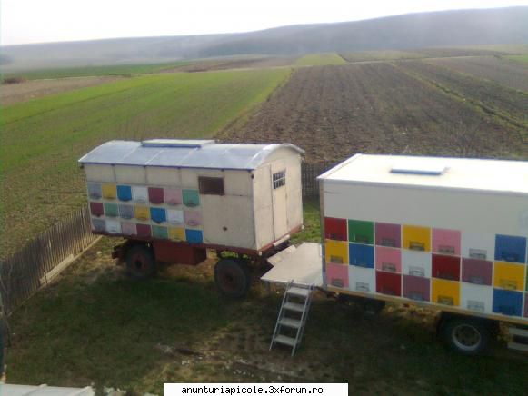 vand camion apicol mercedes apicol pavilionul