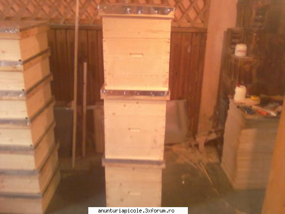 daca sunt viespi ti-l ridic eu sa nu iti intepe copii daca sunt albine iti fac cadou un stup sa iti