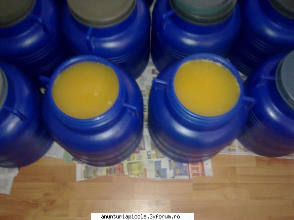 vand miere poliflora 2011 500kg, 8 giurgiu, telefon 
asigur pe o distanta de 60 km
accept banii la