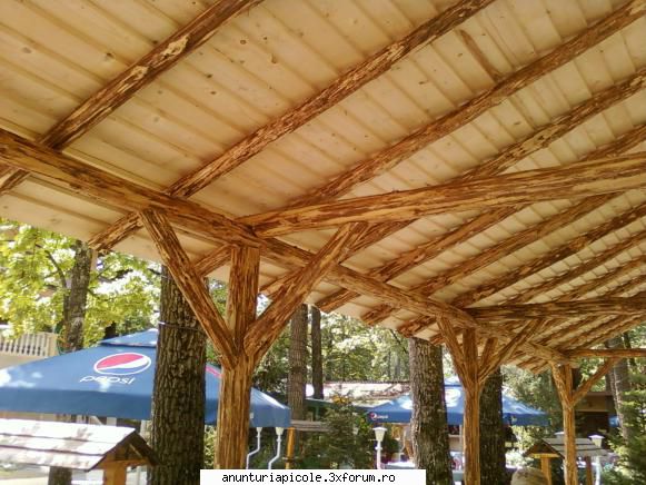 ornamente gradina foisor 3/3=10 famili
