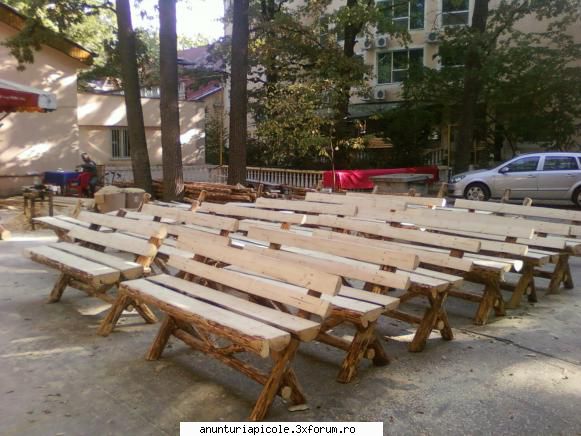 ornamente gradina