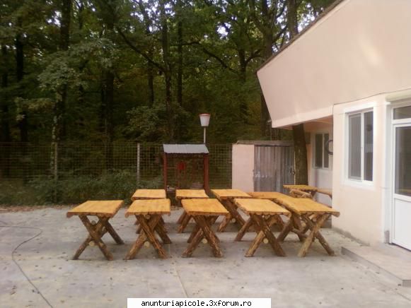 ornamente gradina