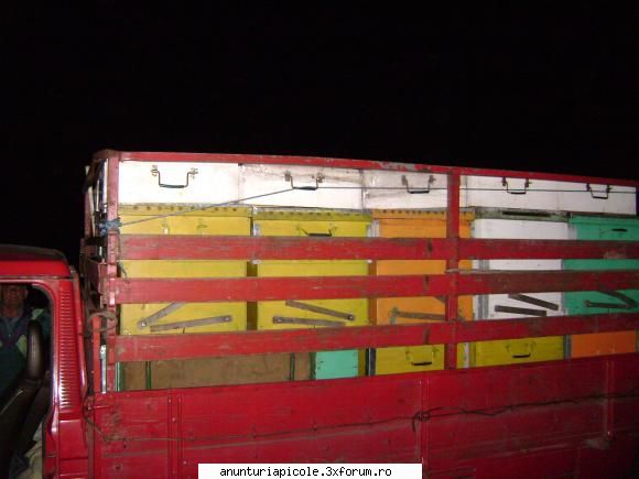 vand camioneta poate locui masina timpul mai trebuie cort