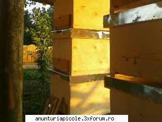 Atelier de tamplarie apicola--Craiova - ninel1 - VANZARI ECHIPAMENTE APICOLE