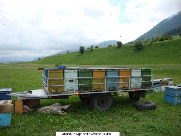 CAMION VW MAN ,5 tone - Am si o remorca cu o axa de tv care se cupleaza - VANZARI ECHIPAMENTE APICOLE