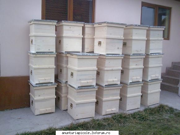 CUTII STUPI Rm.Valcea - verticali , orizontali , pavilion - VANZARI ECHIPAMENTE APICOLE