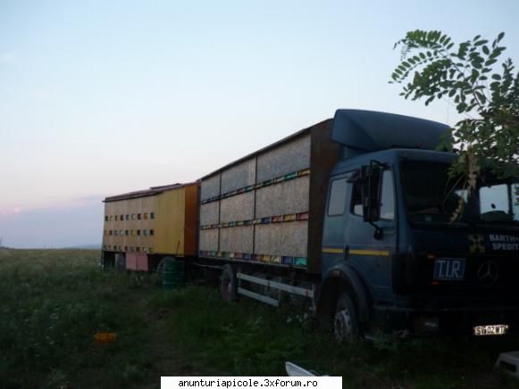 CaMiOn MeRcEdEs (magarus)+ pavilion!!:) - tiberiuss - VANZARI ECHIPAMENTE APICOLE