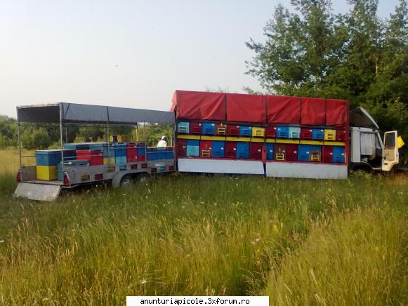 capacitate transport 80 familii albine, accept orice test, kit ambreiaj nou, stare de foarte buna.