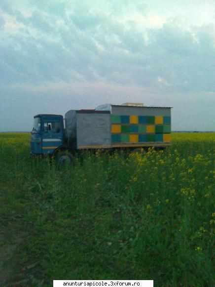 camion funtionare 42 este facut ptr.cutii orizontale cu 16 rame dar eu am pus pe el cutii cu 18 si