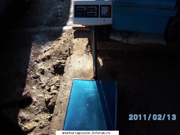 Cintare electronice la pret de criza. - Salut.Am gasit cintare electronice la - CUMPARARI ECHIPAMENTE APICOLE
