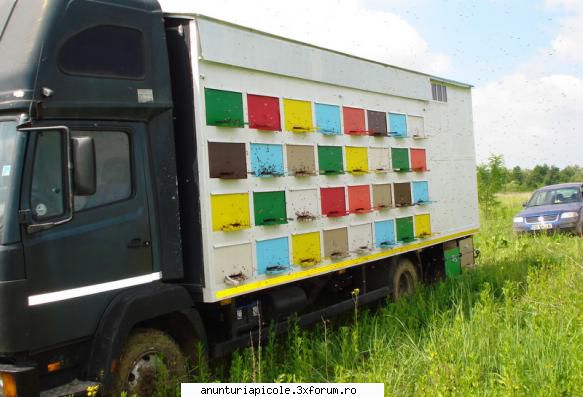 Cumpar Camion-Stupina - Asta cum ti se pare? mercedes ecopower fabricatie - VANZARI - CUMPARARI AUTO