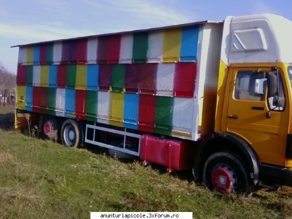 Cumpar autospeciala apicola - pretene daca ma intrebi de lei sau eu inseamna - CUMPARARI ECHIPAMENTE APICOLE