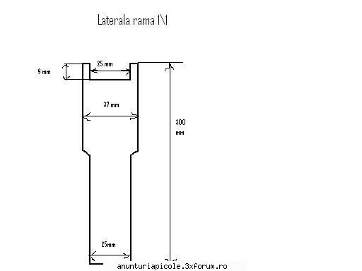 Cumpar laterale rame - marty - CUMPARARI ECHIPAMENTE APICOLE