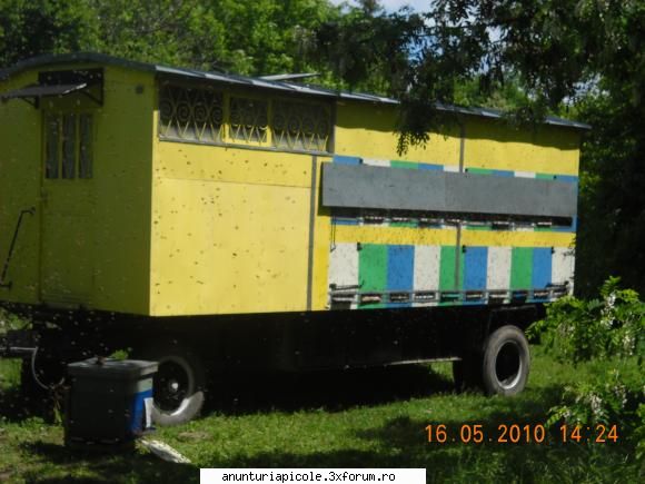 vand pavilion apicol de 40 stupi verticali pe 10 rame si cat total itp 2013, cabana mare  cu doua