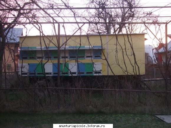 alta de vanzare pavilion apicol