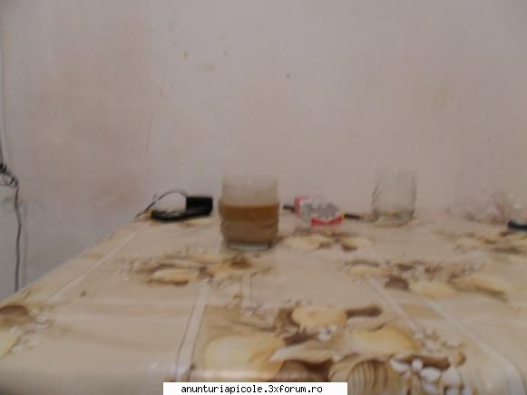 Drojdie de bere inactivata - De moment e bine.Nu fermenteaza.Amest - PREZENTARI PRODUSE - RUBRICA PENTRU FIRME
