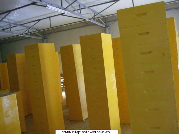 Fabrica de stupi PRISADA (Lucian Avram) - Avem de v�nzare .. -2500rame 1/2( de - VANZARI ECHIPAMENTE APICOLE