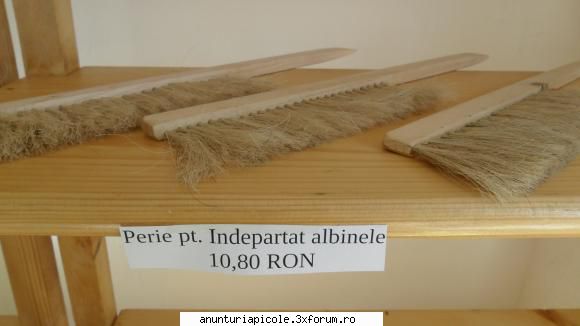 II Antal Marcu - antal_bee - PREZENTARI PRODUSE - RUBRICA PENTRU FIRME