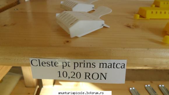 II Antal Marcu - antal_bee - PREZENTARI PRODUSE - RUBRICA PENTRU FIRME