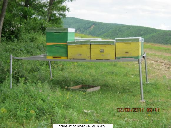 Lichidare mini stupina familii+stupi+remorca - fOTO CU PALETUL APICOL - VANZARI ECHIPAMENTE APICOLE